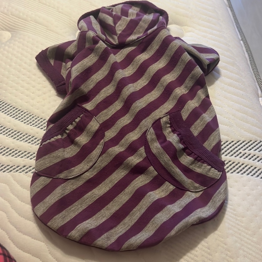 Grey/purple hoodie sweater